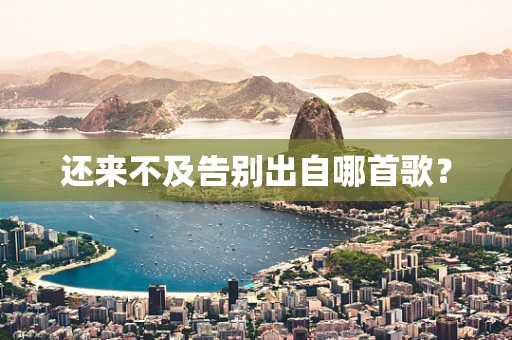 还来不及告别出自哪首歌？