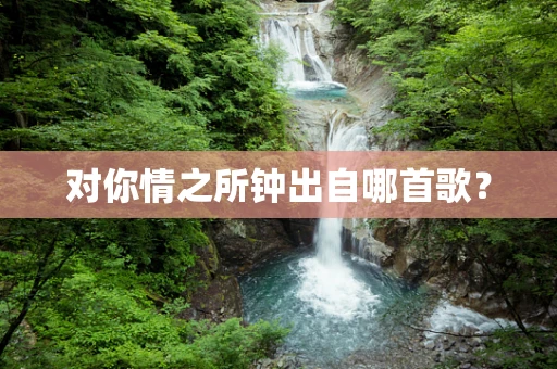 对你情之所钟出自哪首歌？