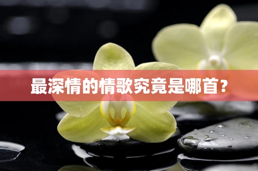 最深情的情歌究竟是哪首？