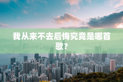 我从来不去后悔究竟是哪首歌？