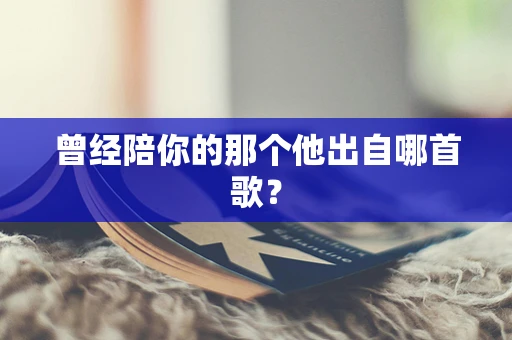 曾经陪你的那个他出自哪首歌？