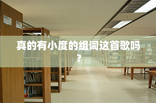 真的有小度的组词这首歌吗？