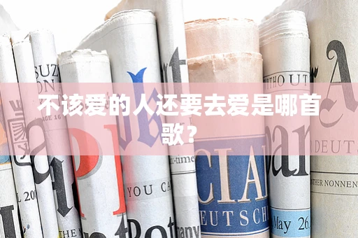 不该爱的人还要去爱是哪首歌？