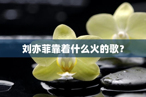 刘亦菲靠着什么火的歌？