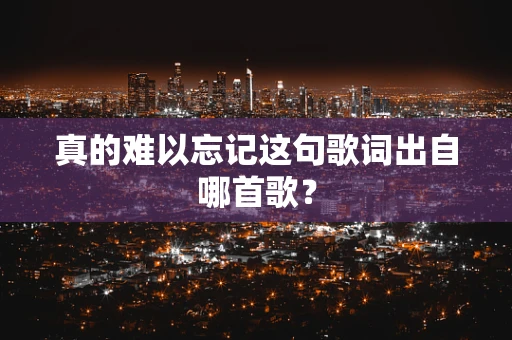 真的难以忘记这句歌词出自哪首歌？