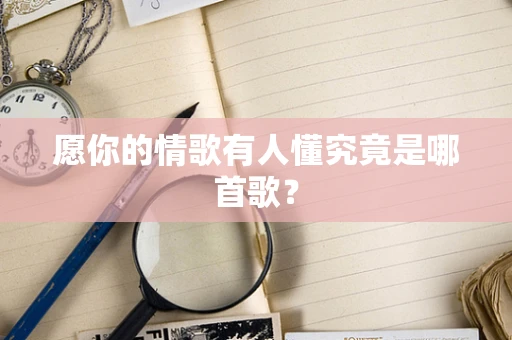 愿你的情歌有人懂究竟是哪首歌？
