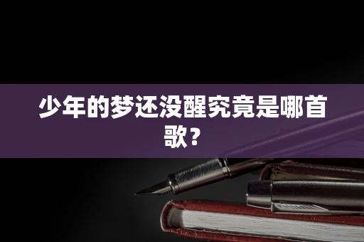 少年的梦还没醒究竟是哪首歌？