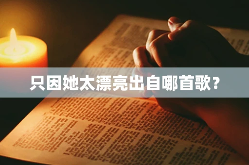 只因她太漂亮出自哪首歌？
