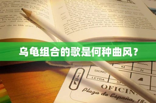 乌龟组合的歌是何种曲风？