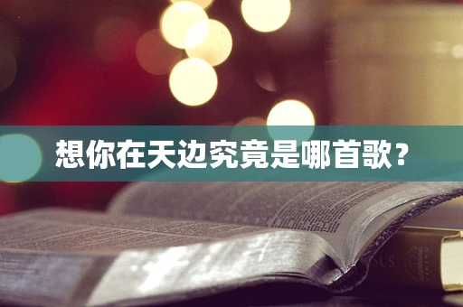 想你在天边究竟是哪首歌？
