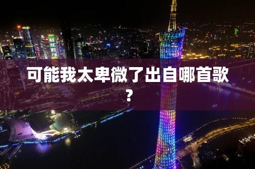 可能我太卑微了出自哪首歌？