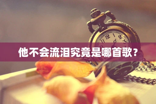 他不会流泪究竟是哪首歌？