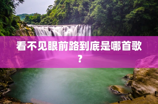 看不见眼前路到底是哪首歌？
