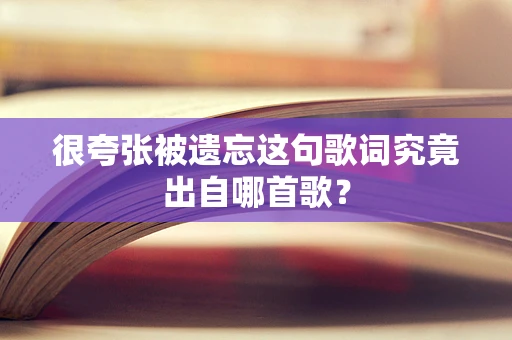 很夸张被遗忘这句歌词究竟出自哪首歌？