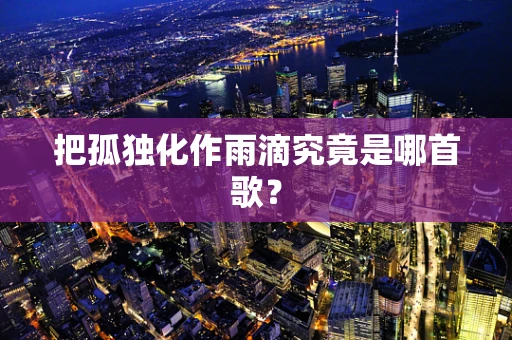 把孤独化作雨滴究竟是哪首歌？