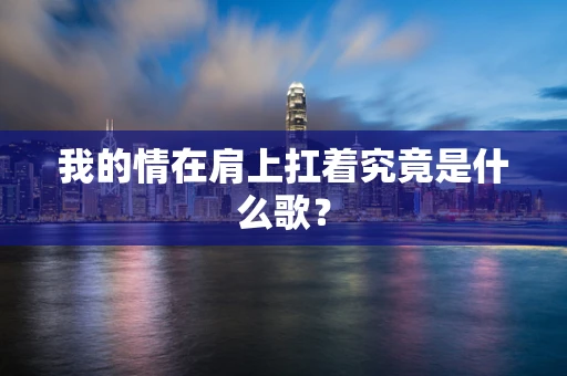 我的情在肩上扛着究竟是什么歌？