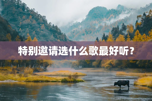 特别邀请选什么歌最好听？