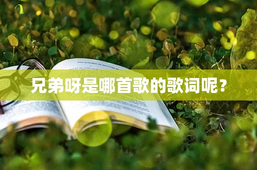 兄弟呀是哪首歌的歌词呢？