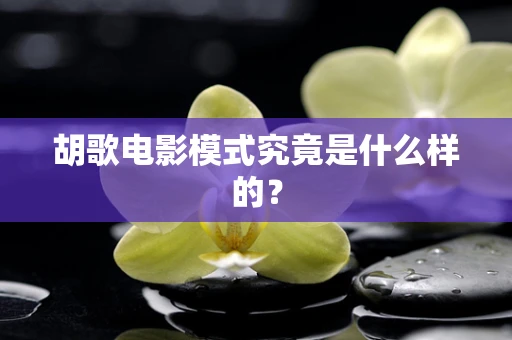 胡歌电影模式究竟是什么样的？