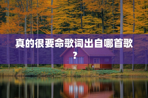 真的很要命歌词出自哪首歌？