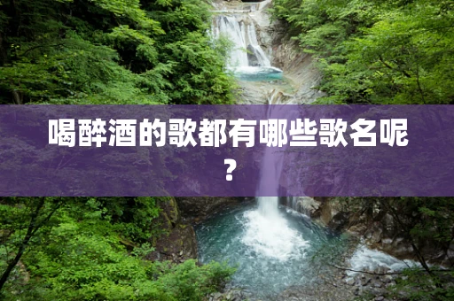 喝醉酒的歌都有哪些歌名呢？