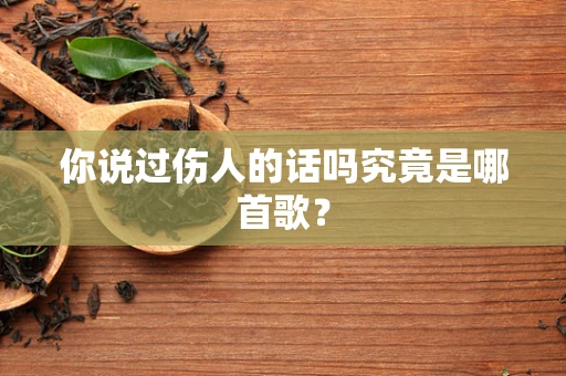 你说过伤人的话吗究竟是哪首歌？
