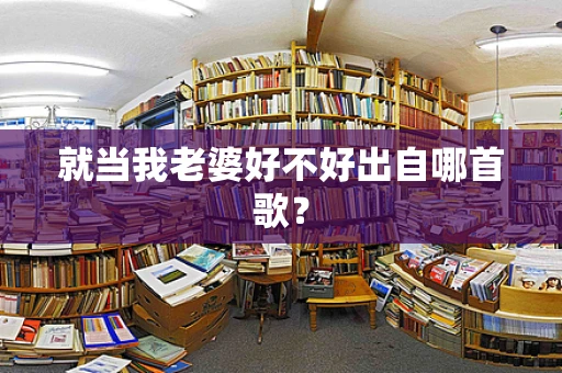 就当我老婆好不好出自哪首歌？