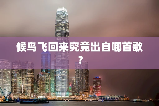 候鸟飞回来究竟出自哪首歌？