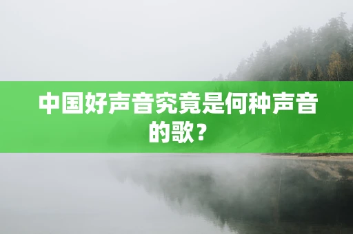中国好声音究竟是何种声音的歌？