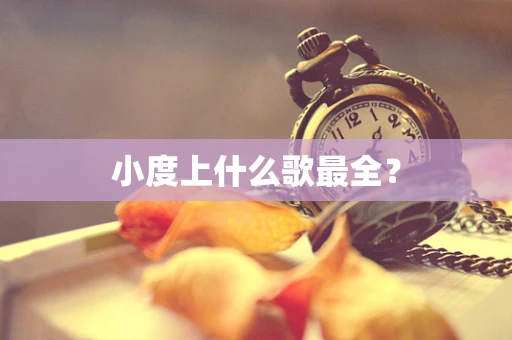 小度上什么歌最全？