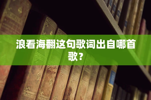 浪看海翻这句歌词出自哪首歌？