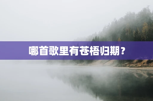 哪首歌里有苍梧归期？