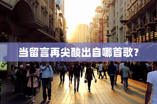 当留言再尖酸出自哪首歌？