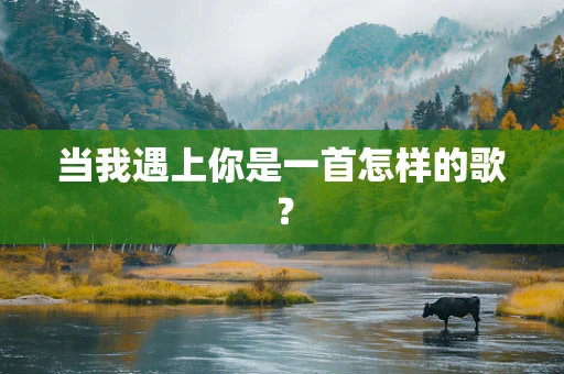 当我遇上你是一首怎样的歌？