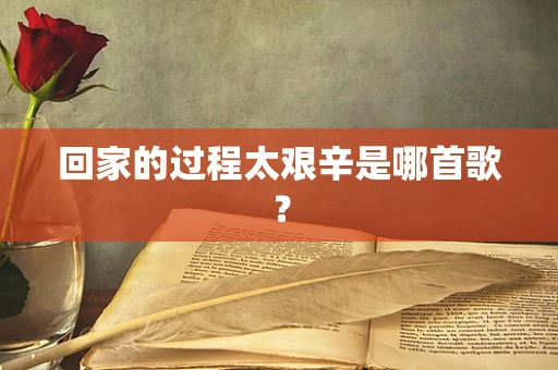 回家的过程太艰辛是哪首歌？