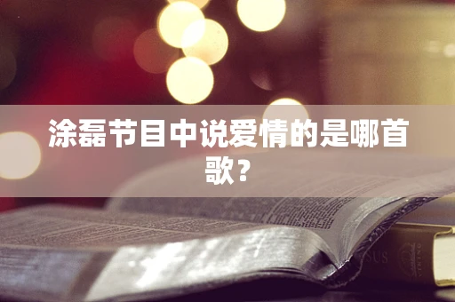 涂磊节目中说爱情的是哪首歌？