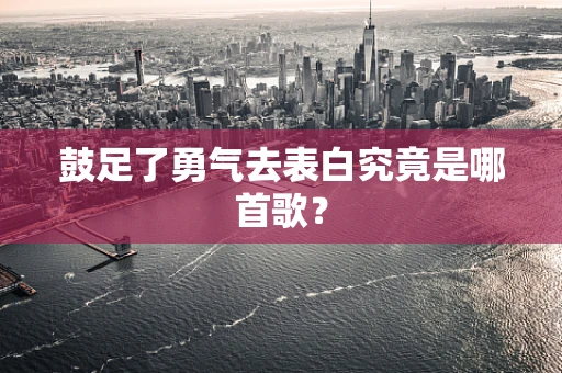 鼓足了勇气去表白究竟是哪首歌？