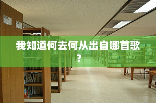 我知道何去何从出自哪首歌？