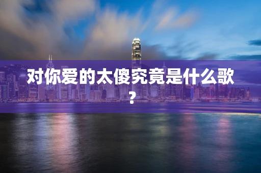 对你爱的太傻究竟是什么歌？