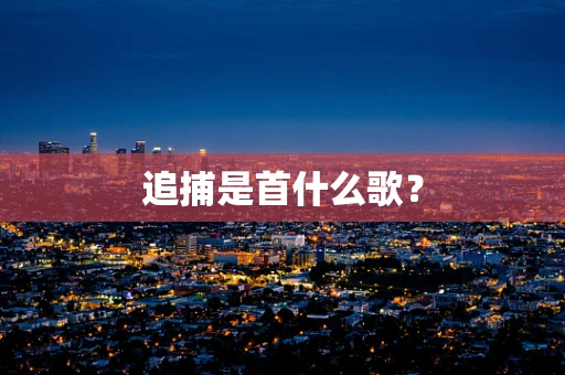 追捕是首什么歌？