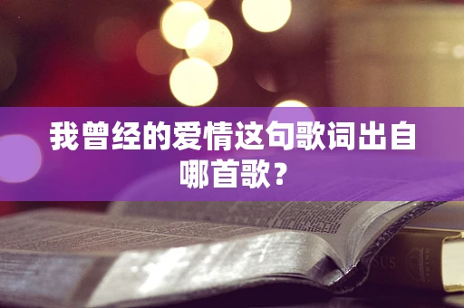 我曾经的爱情这句歌词出自哪首歌？