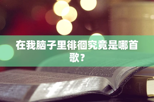 在我脑子里徘徊究竟是哪首歌？