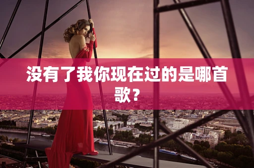 没有了我你现在过的是哪首歌？