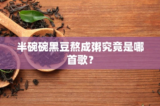 半碗碗黑豆熬成粥究竟是哪首歌？