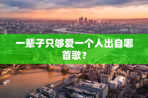 一辈子只够爱一个人出自哪首歌？