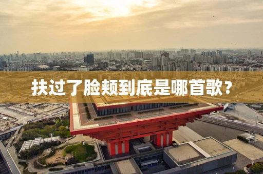扶过了脸颊到底是哪首歌？