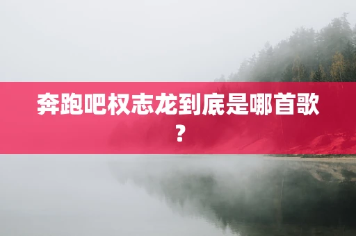 奔跑吧权志龙到底是哪首歌？