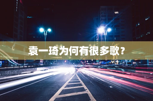 袁一琦为何有很多歌？