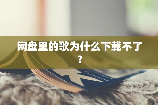 网盘里的歌为什么下载不了？