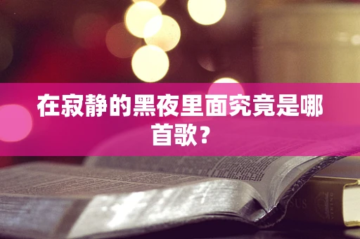 在寂静的黑夜里面究竟是哪首歌？